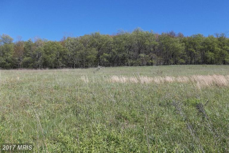 LOT 7 North Pass Trail - Photo 1