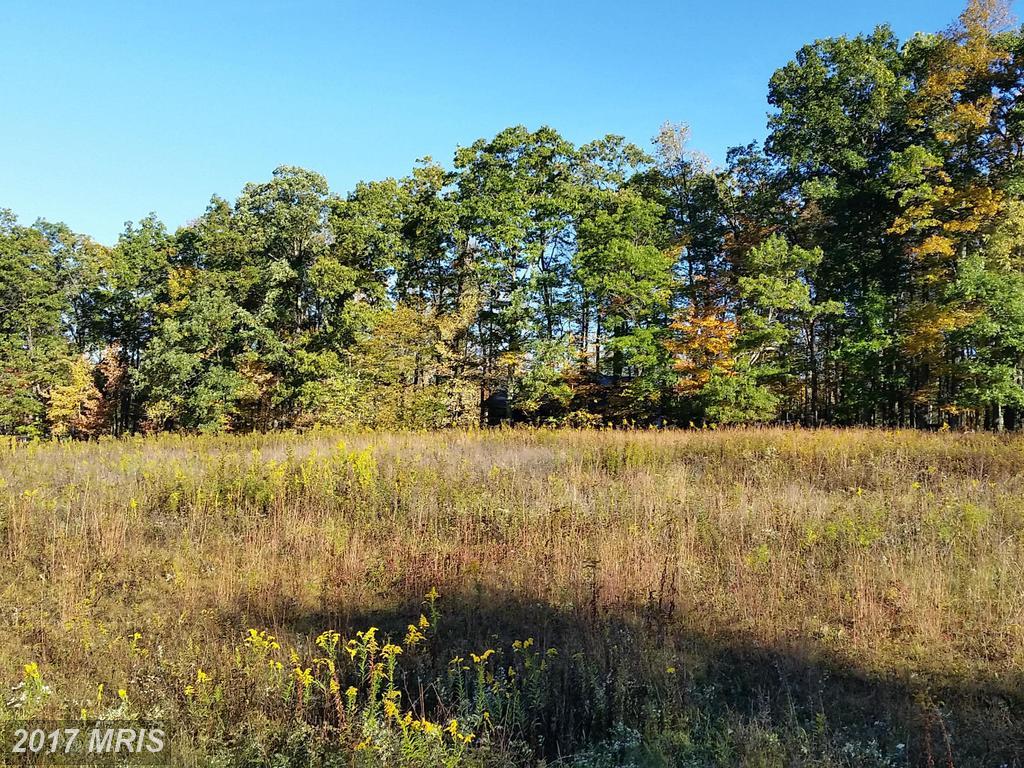 LOT 3 Fantasy Lane - Photo 1