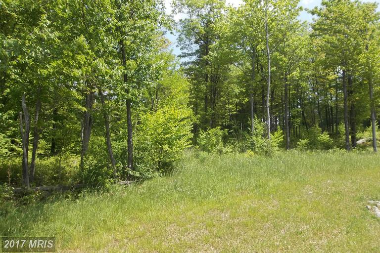 Greenbrier Drive - Photo 1