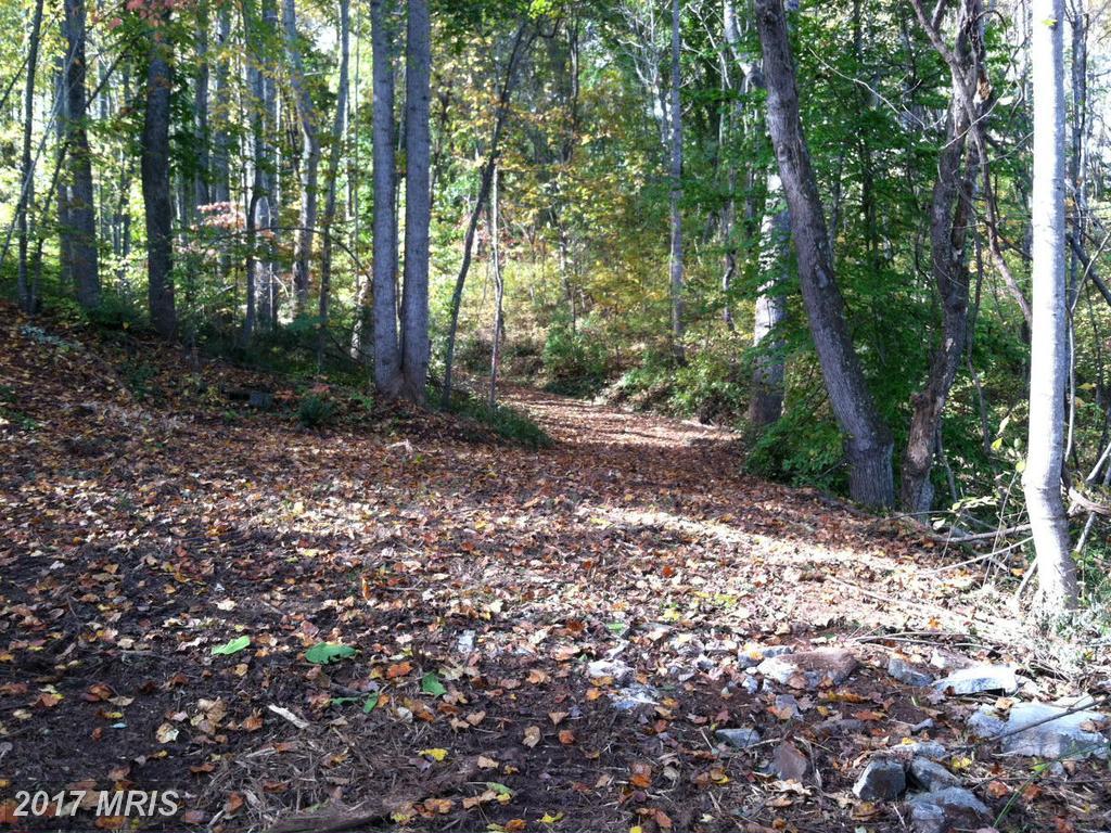 Locust Lane - Photo 1