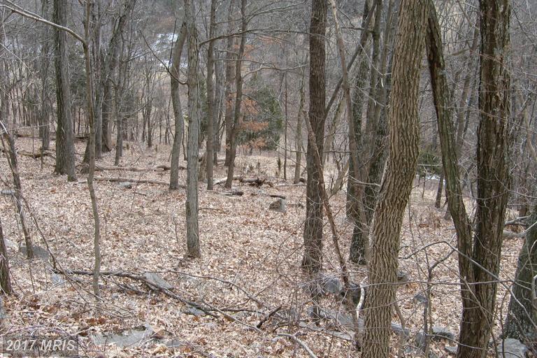 Highland Springs Rd. - Photo 1