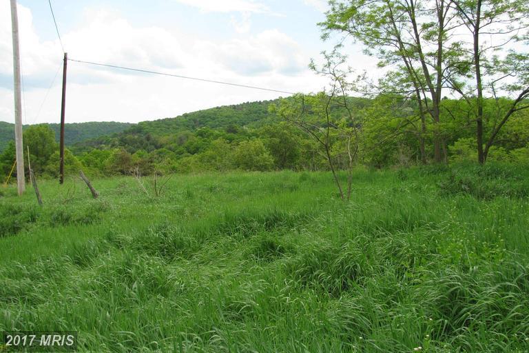 1015 Shenandoah Road - Photo 1
