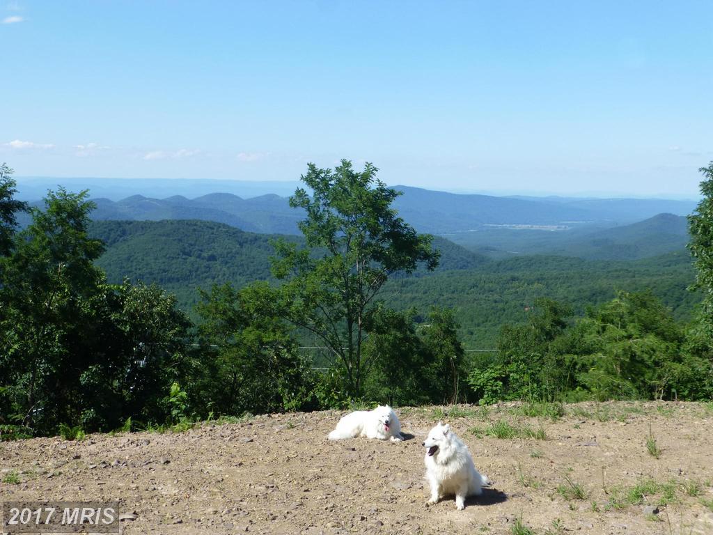 333 Nathaniel Mountain Road - Photo 1