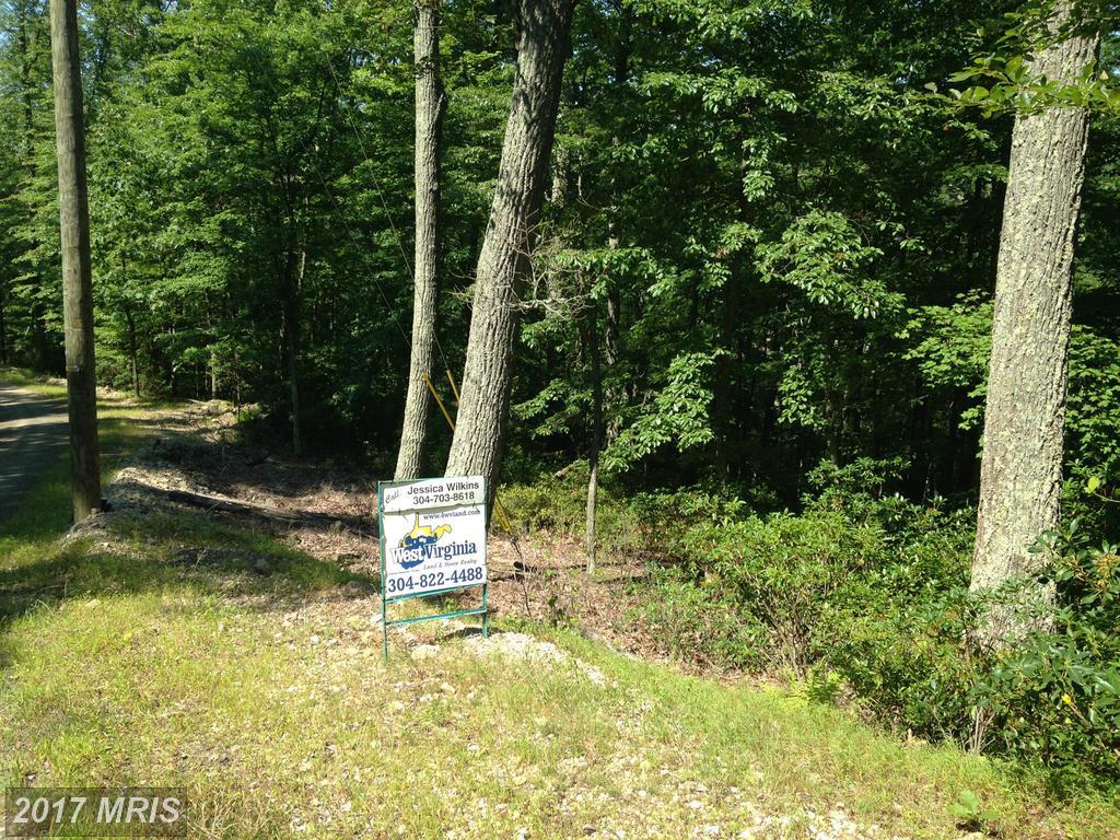 High Knob Rd - Photo 1