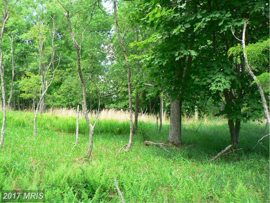 LOT 11 Top Of The Mountain - Photo 1