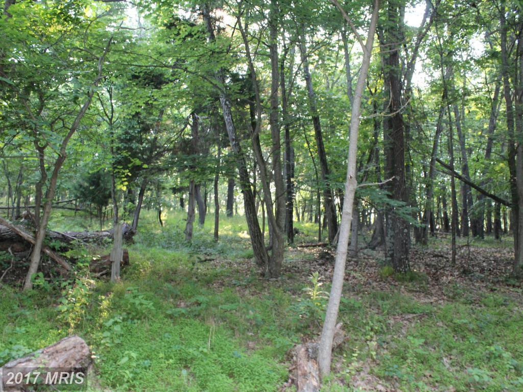 Anderson Ridge Rd - Photo 1