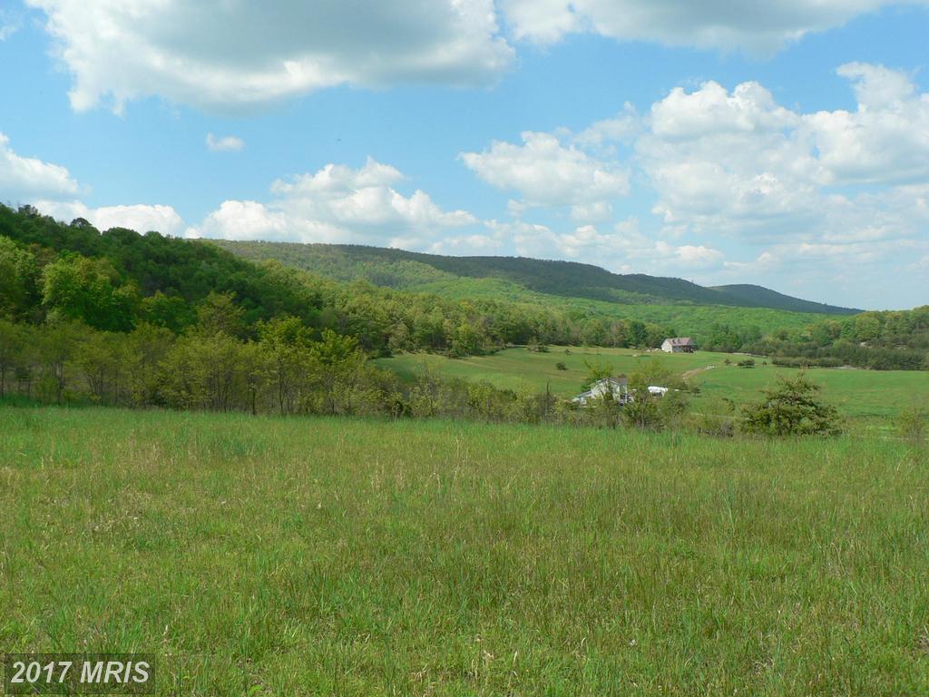 LOT 2 Top Of The Mountain Road - Photo 1