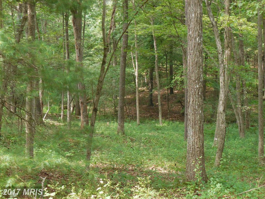 Trout Stream Road - Photo 1