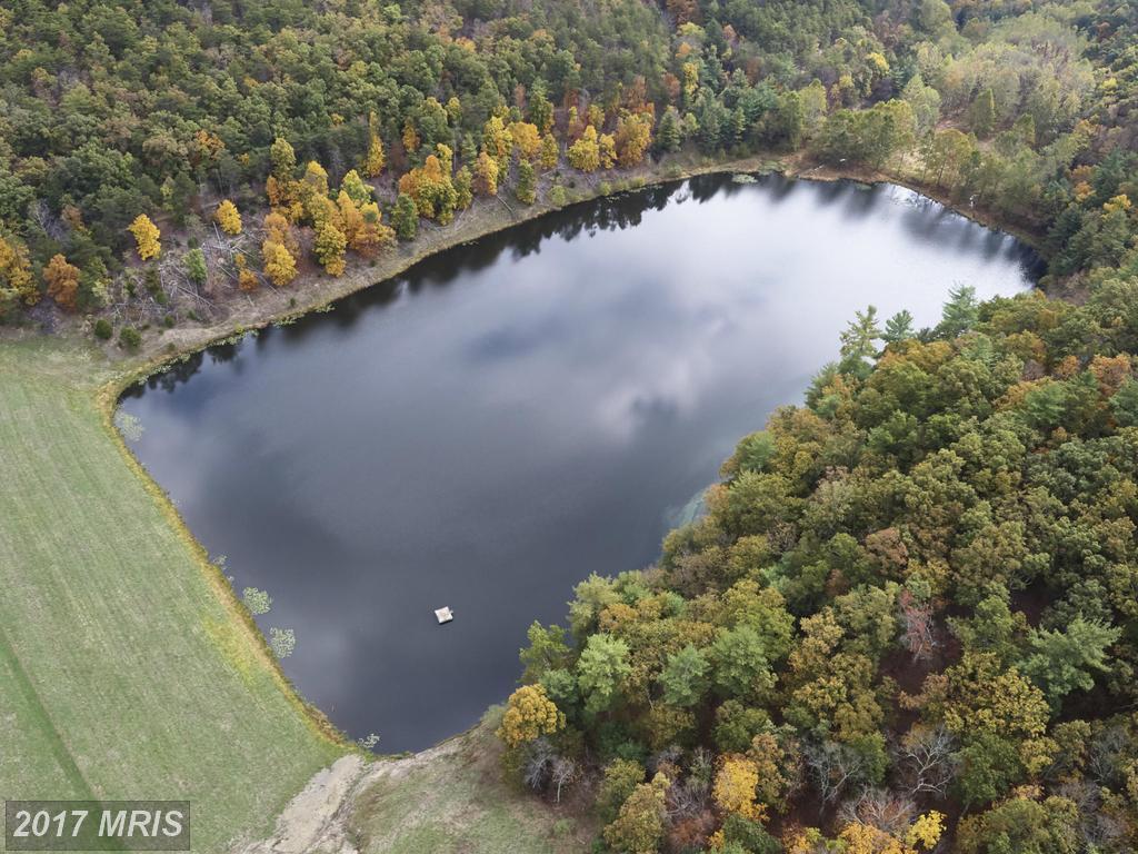 0 South Fork Road - Photo 1