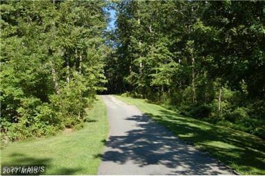 2311 Walnut Springs Court - Photo 1
