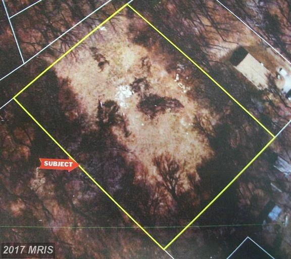 14-B Spesutia Road - Photo 1