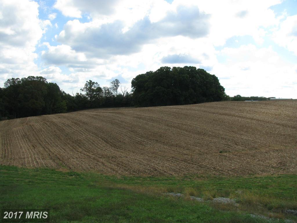 3449 Fallston Road - Photo 1