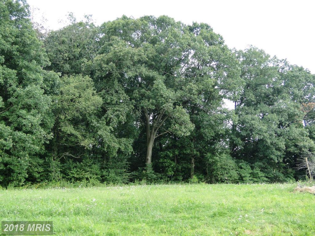 25-B Holy Cross Road - Photo 1