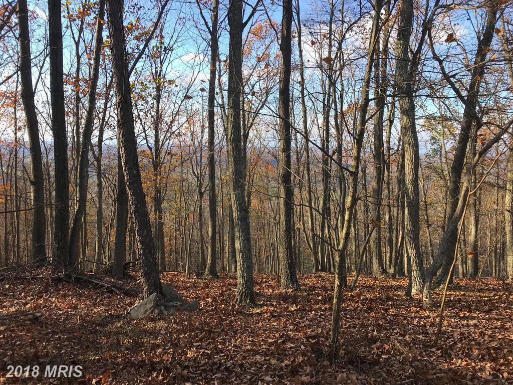 Chestnut Ridge Road - Photo 1