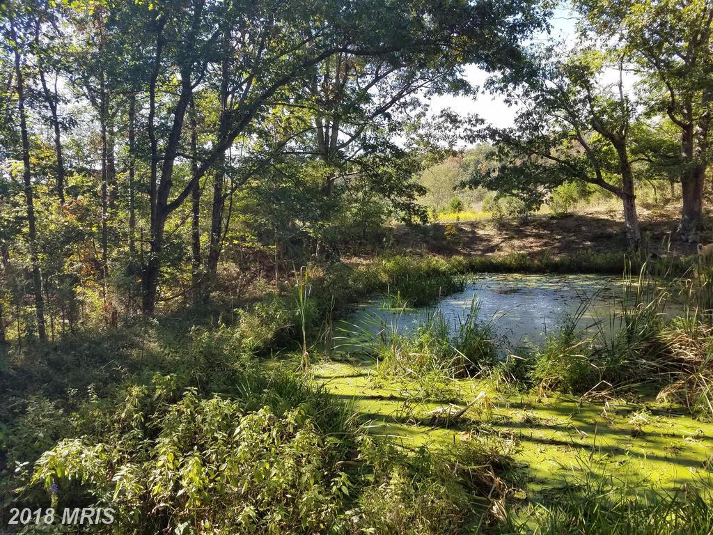 Hamilton Estate Dr. - Photo 1
