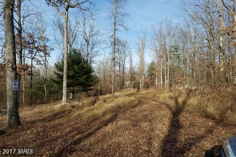 LOT 14 Olympic Drive - Photo 1
