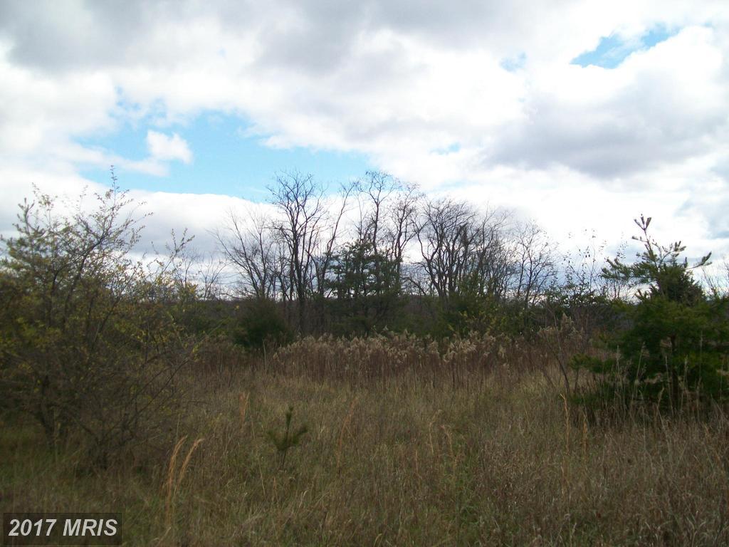 Peach Lake Drive - Photo 1