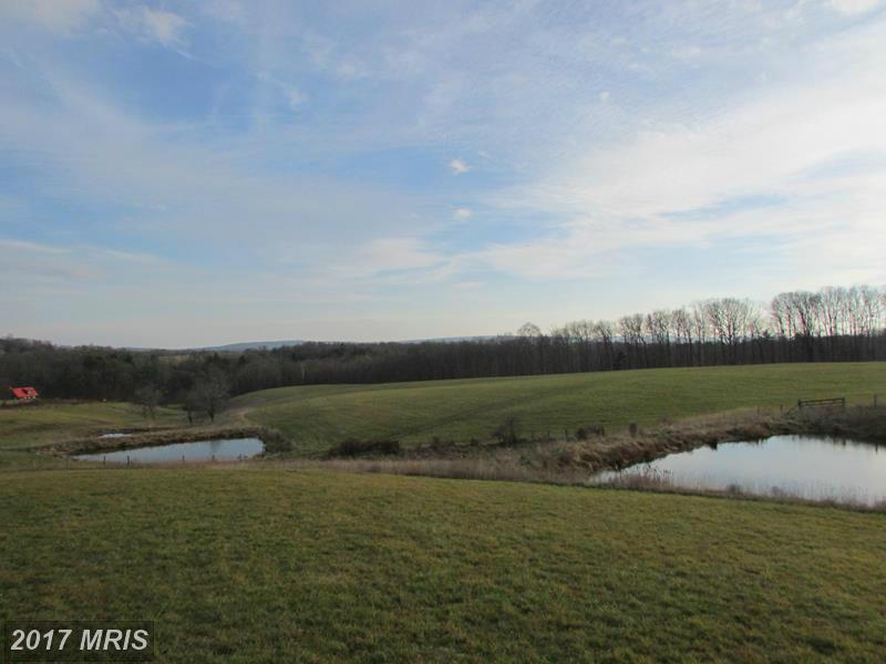 74 SLANESVILLE PIKE - Photo 1