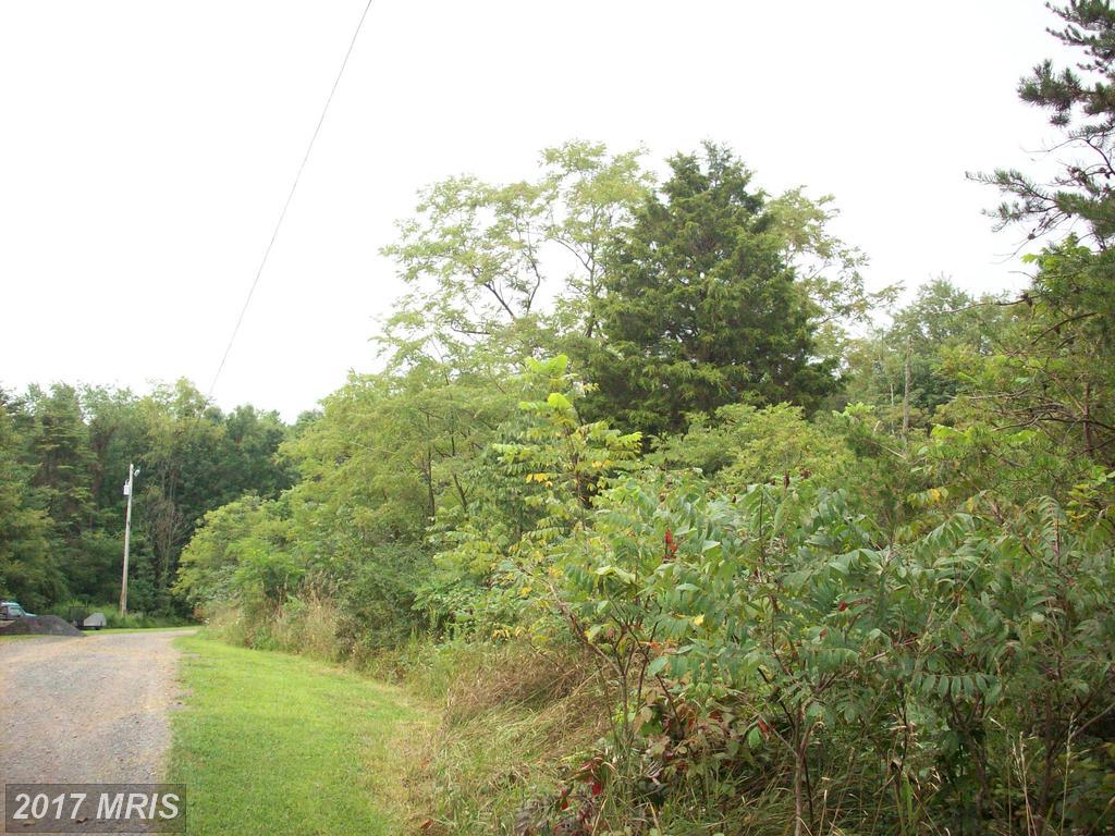 Steelhorse Trail - Photo 1