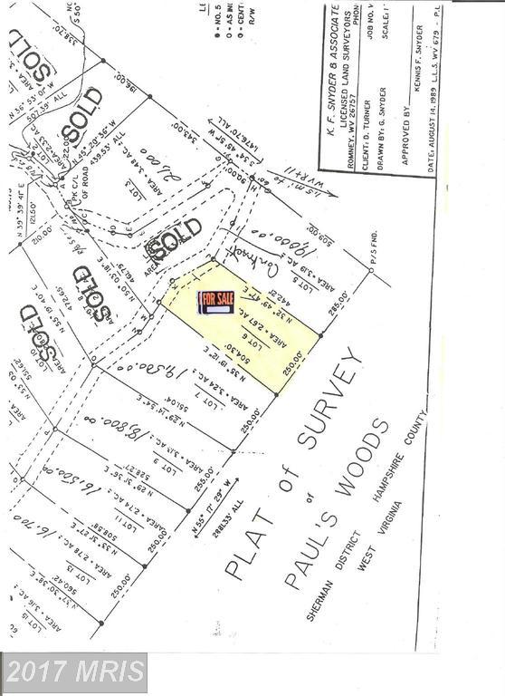 Pauls Woods Road - Photo 1