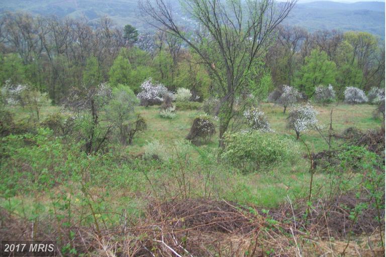 High Apple Mountain Road - Photo 1