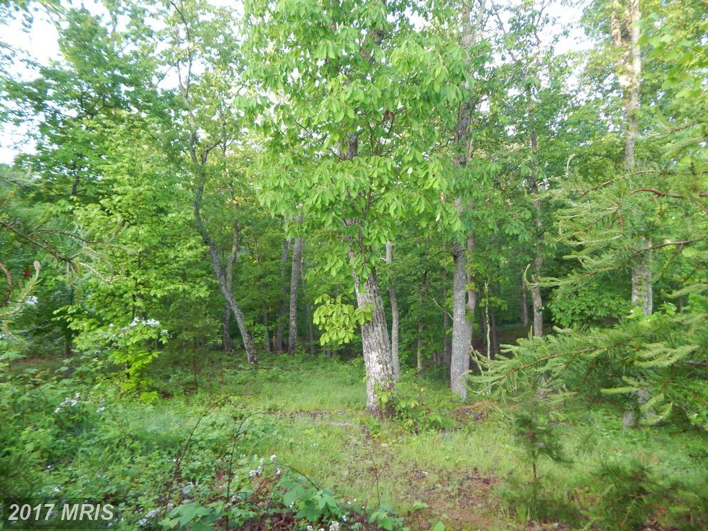 Long Hen Drive - Photo 1