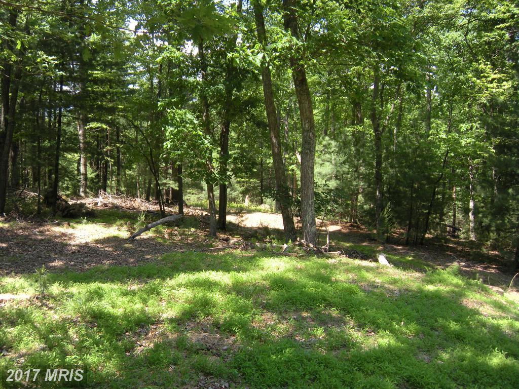 LOT #101 Mossy Oaks Road - Photo 1