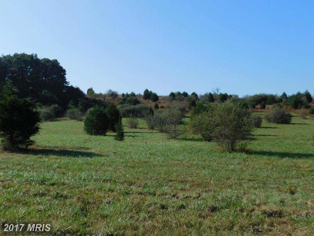 Lot 19 North River Rd - Photo 1