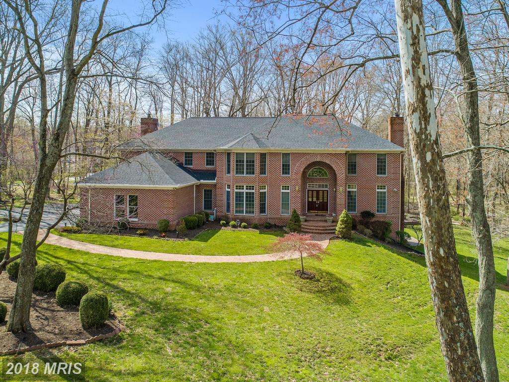 11651 Vixens Path - Photo 1