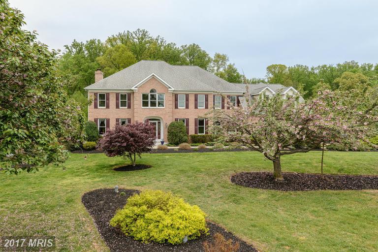 13111 Isle Of Mann Way - Photo 1