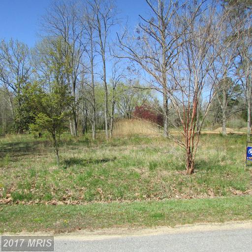 10726 Kasota Road - Photo 1