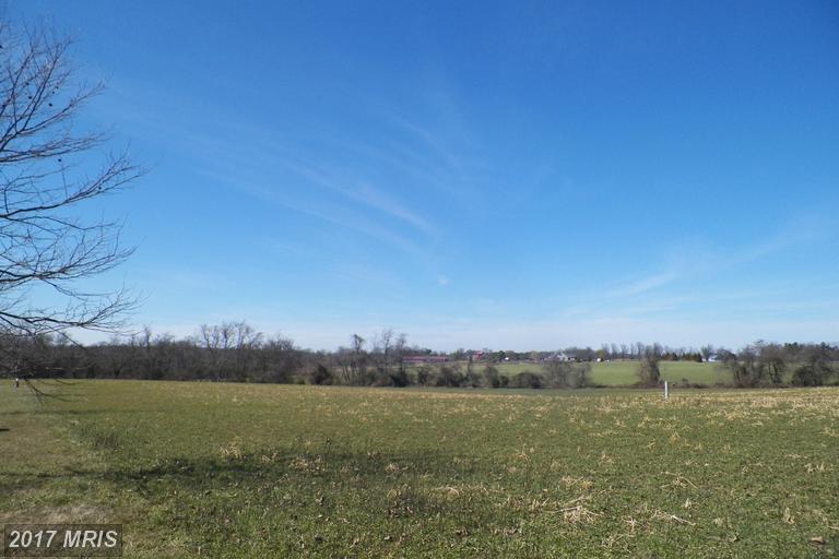 Homestead Road - Photo 1