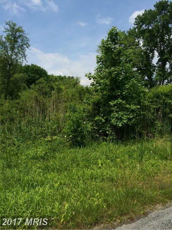 31596 Olivet Circle - Photo 1