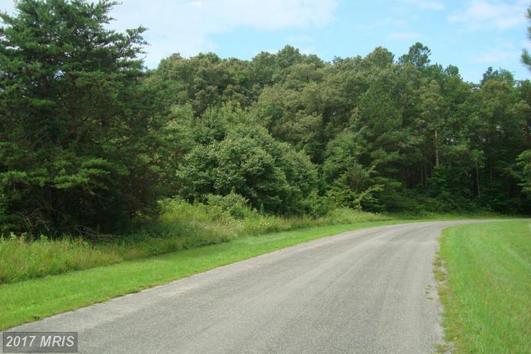 Belmont Lane - Photo 1