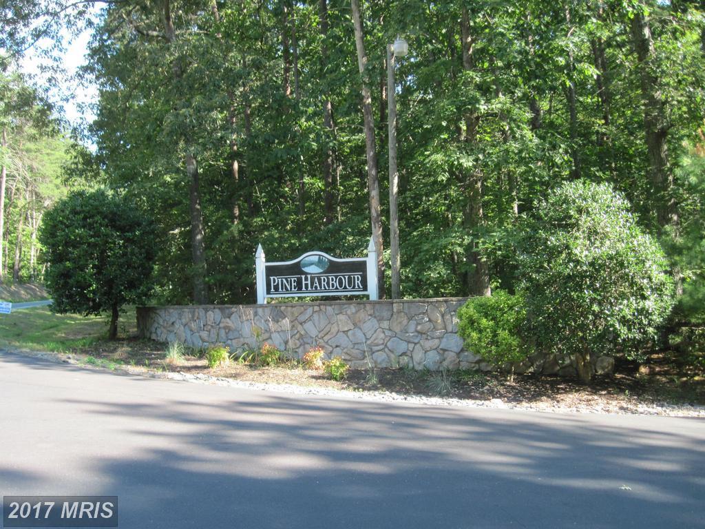 Pine Harbour Dr. Drive - Photo 1