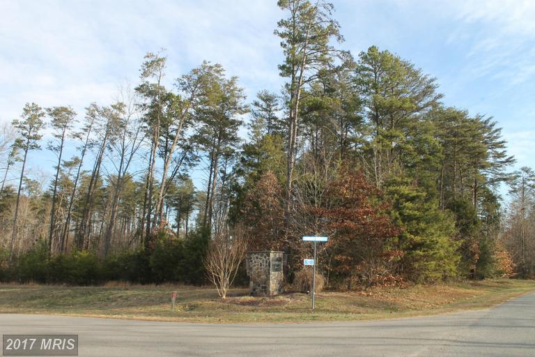 Woodland Shores Drive - Photo 1