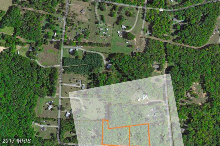 36-B Louisa Farms Lane - Photo 1