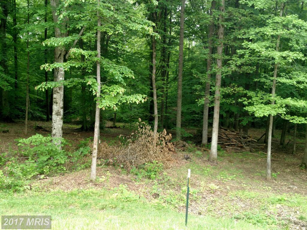 31 Alexandra Circle - Photo 1