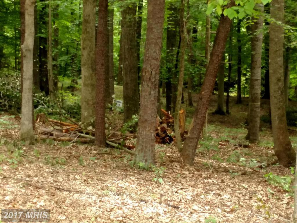 23 Megan Way - Photo 1