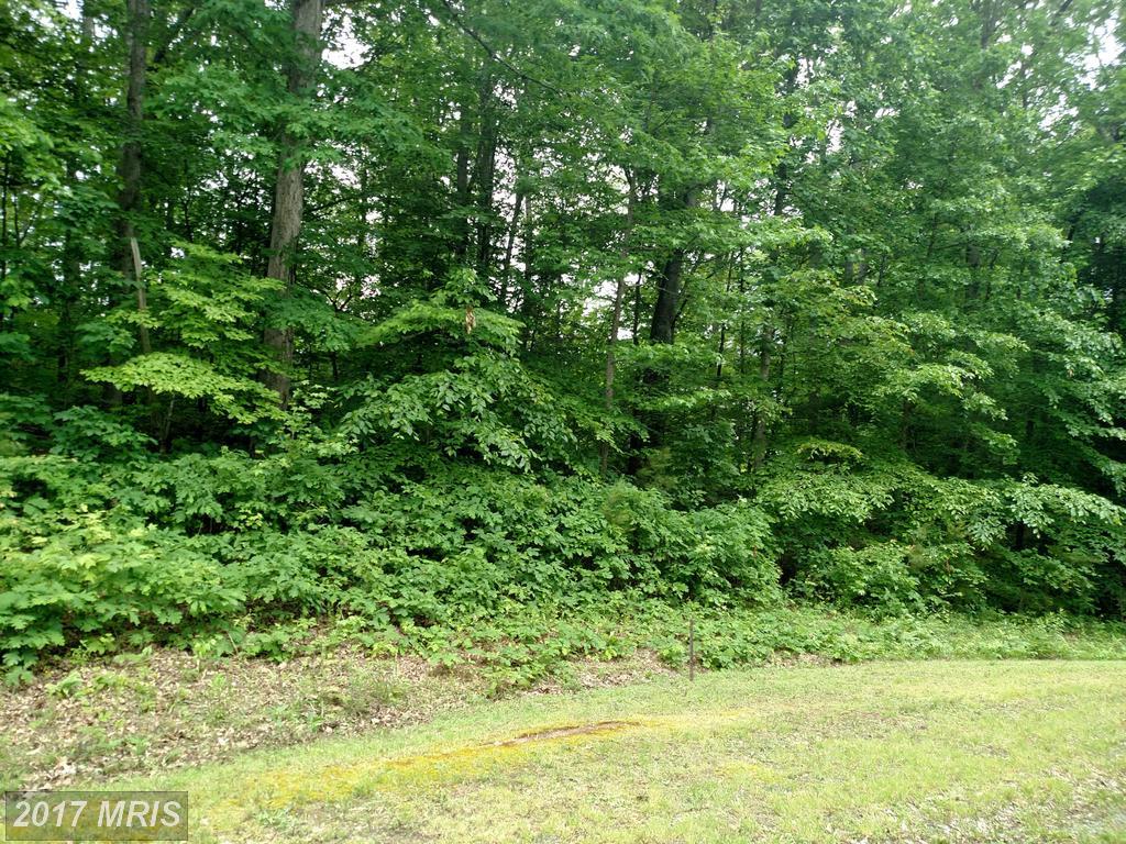 120 Smitty Circle - Photo 1