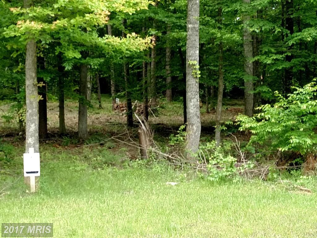 17 Gunnar Way - Photo 1