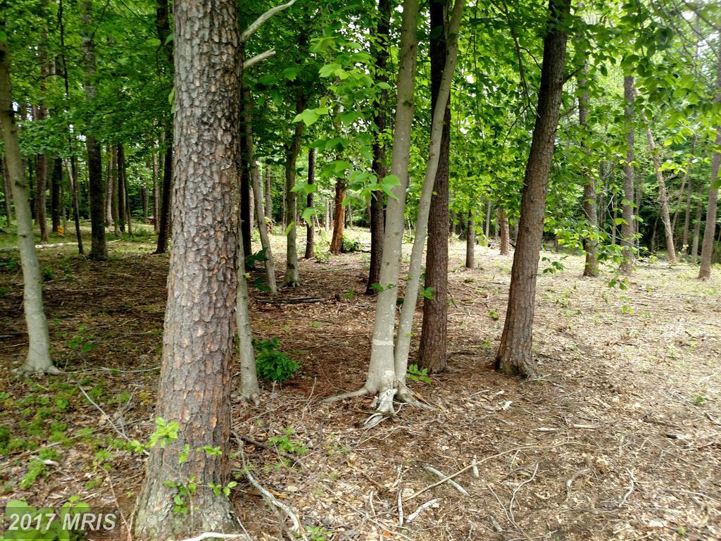 20 Meghan Way - Photo 1