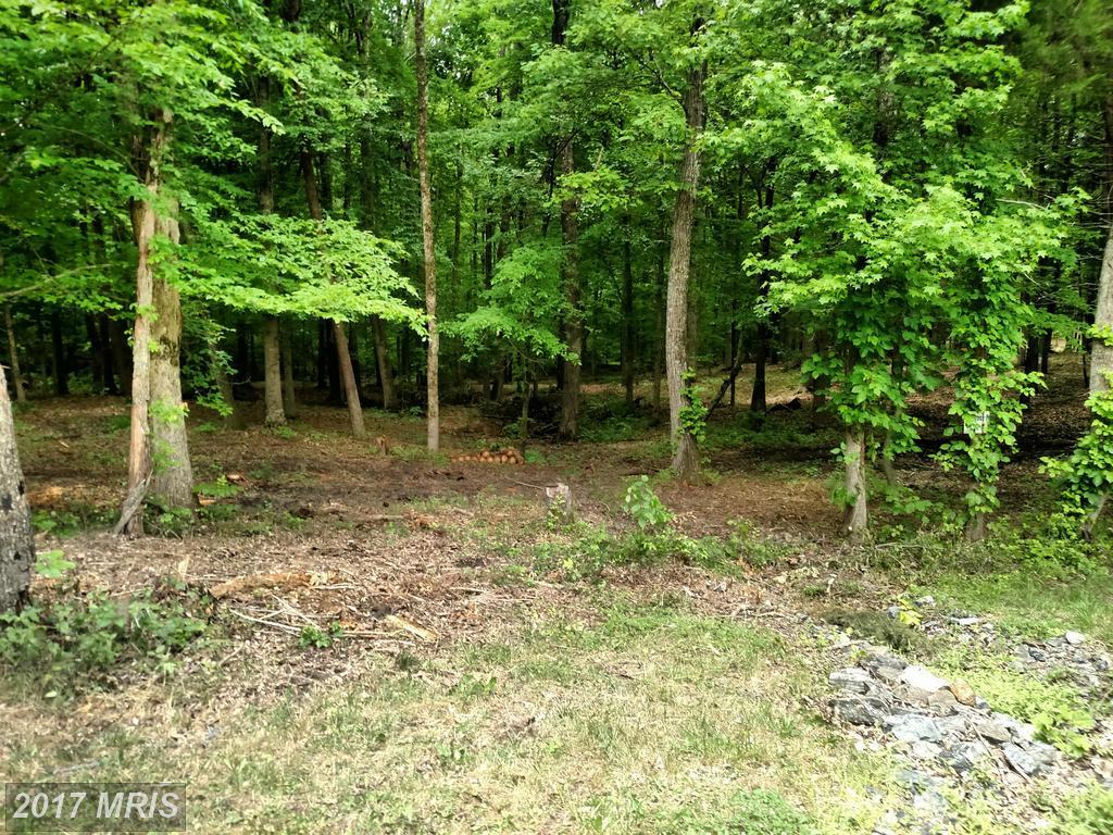 25 Meghan Way - Photo 1
