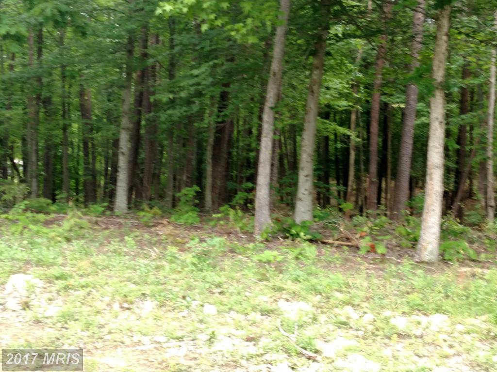 39 Elnor Road - Photo 1