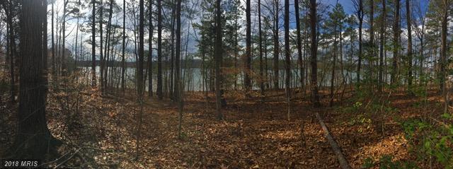 Jerdone Island - Photo 1