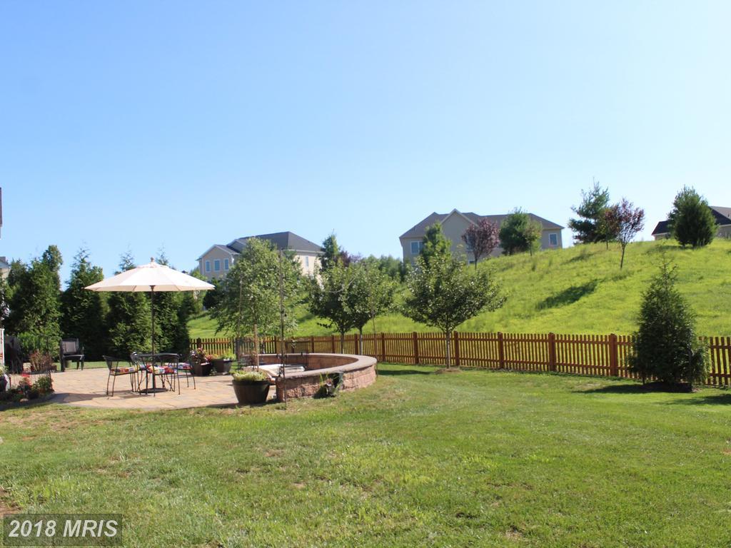 24332 Eagles Landing Place - Photo 1
