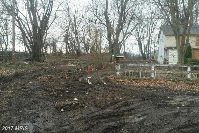22552 Sam Fred Road - Photo 1