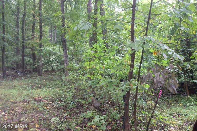 13561 Hanging Rock Lane - Photo 1