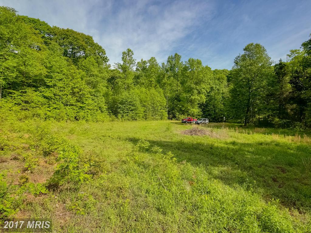 Booker T Washingt Lane - Photo 1