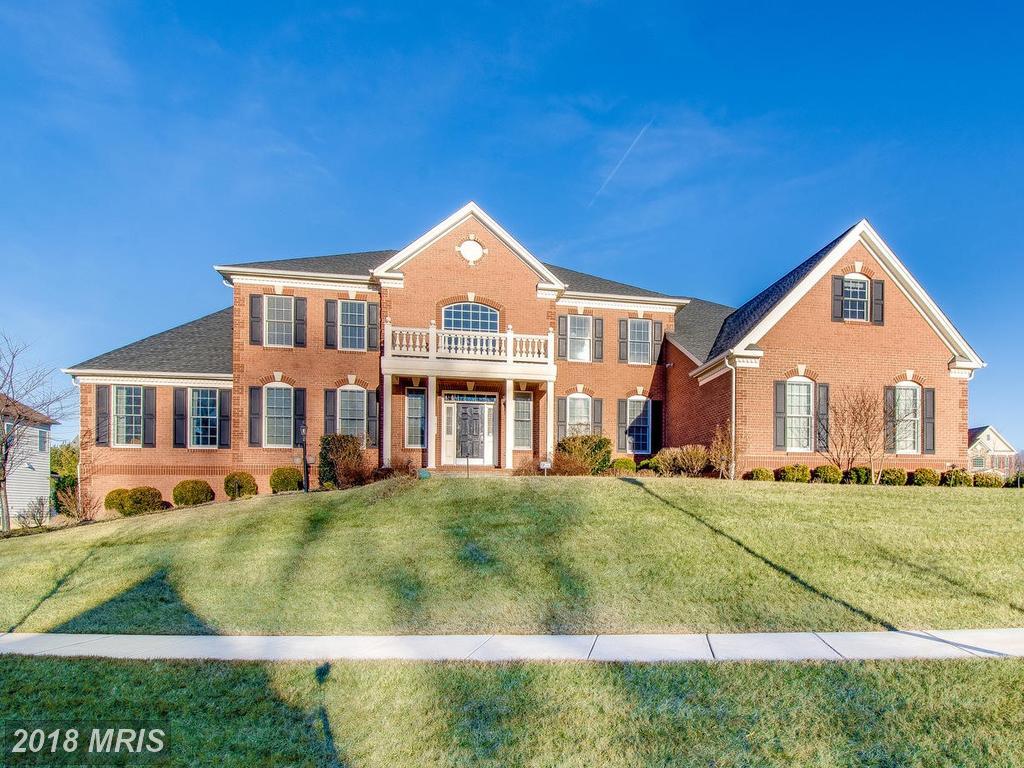 121 Brimstone Academy Court - Photo 1